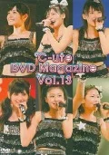 ℃-ute DVD Magazine vol.13  Cover