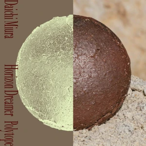 Horizon Dreamer / Polytope  Photo