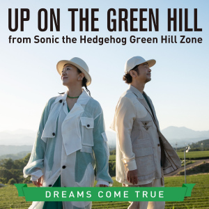 UP ON THE GREEN HILL from Sonic the Hedgehog Green Hill Zone  Photo