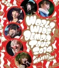 WORLD WIDE DEMPA TOUR 2014  Cover