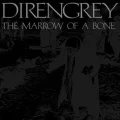 The Marrow of a Bone Cover