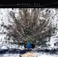 Aisuru Hito (あいするひと) (CD) Cover