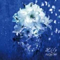 Lily (Limited Edition) Cover