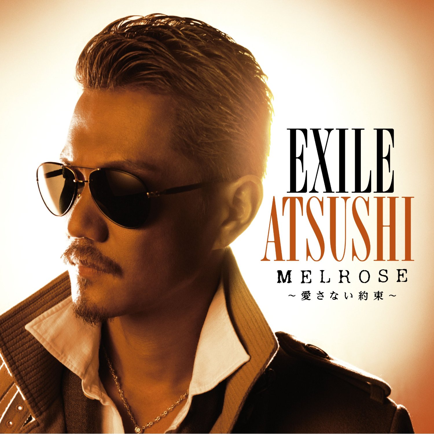 Exile Atsushi Melrose Aisanai Yakusoku Melrose 愛さない約束 Cd Dvd J Music Italia