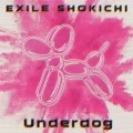 Underdog (CD+DVD) Cover