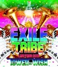 EXILE TRIBE LIVE TOUR 2012 ~TOWER OF WISH~  (2BD) Cover
