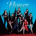 Flower  (CD) Cover