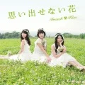 Omoidasenai Hana (思い出せない花)  (CD+DVD B) Cover