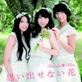 Omoidasenai Hana (思い出せない花) (Digital) Cover