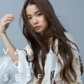 VARIOUSELF Cover
