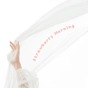 Strawberry Morning  Photo