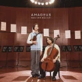 Ultimo singolo di Galileo Galilei: Amadeus (アマデウス)