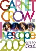 GARNET CROW livescope 2009 ~Yoake no Soul~  (GARNET CROW livescope 2009 ~夜明けのSoul~) (2DVD) Cover