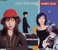 Last love song Cover