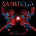 Burning Soul (Digital) Cover