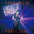 REBEL FLAG (CD+DVD) Cover