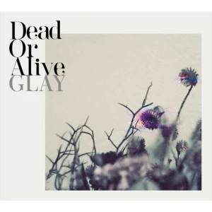 Dead Or Alive  Photo