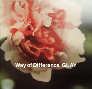 Way Of Difference  Photo