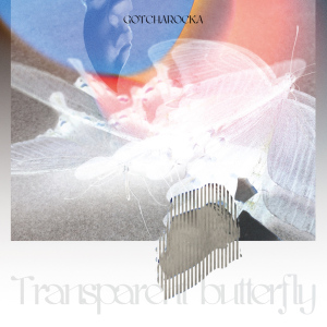 Transparent butterfly  Photo