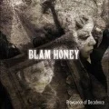 BLAMHONEY - Providence of Decadence  (2CD+DVD) Cover