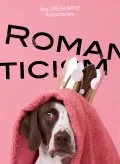 Romanticism (ロマンチシズム) Cover