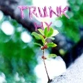 TRUNK (Spring Version) Cover