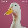 Ultimo singolo di indigo la End: Kokorogawari (心変わり)