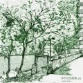 Shiawase na Gairoju. ep (幸せな街路樹．ep)  Cover