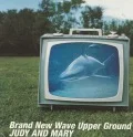 Brand New Wave Upper Ground Cover