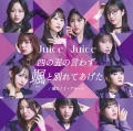 Shi no Go no Iwazu Satto Wakarete Ageta (四の五の言わず颯(さっ)と別れてあげた) / More! Mi Amore (盛れ！ミ・アモーレ) Cover
