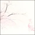 Sakura (桜) (1st press)  Cover