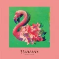 Flamingo / TEENAGE RIOT (CD+DVD) Cover