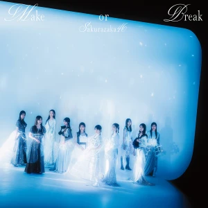 Make or Break  Photo