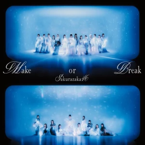 Make or Break  Photo