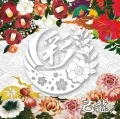 Irodori (彩) (CD B) Cover