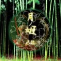 Tsuki no Hime (月ﾉ姫) (CD+DVD A) Cover