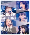 Kobushi Factory First Concert 2019 Haru Urara 〜GW Special〜 (こぶしファクトリー ファーストコンサート2019 春麗 〜GWスペシャル〜)  Cover