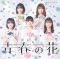 Seishun no Hana  (青春の花) / Start Line (スタートライン) (CD+DVD A) Cover