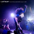 The LAST LIVE at LIQUID ROOM, Tokyo -January 13, 2020- Cover