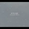 ETUDE -Platinum White- Cover
