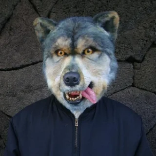 MAN WITH A MISSION Photo