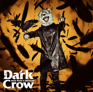 Dark Crow  Photo