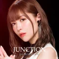 JUNCTION Cover
