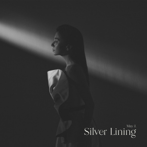Silver Lining  Photo