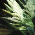 -Ancient ReBORN-  (CD+DVD) Cover