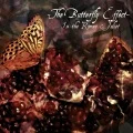 The Butterfly Effect ～In the Romeo & Juliet～ (CD+DVD B) Cover