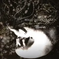 -WHAT DO YOU WANT?- (CD) Cover