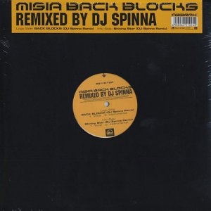 BACK BLOCKS (DJ Spinna Remix)  Photo