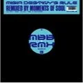 Destiny's rule (Moments Of Soul Remix) (Vinyl) Cover