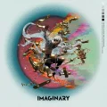 Imaginary Cover